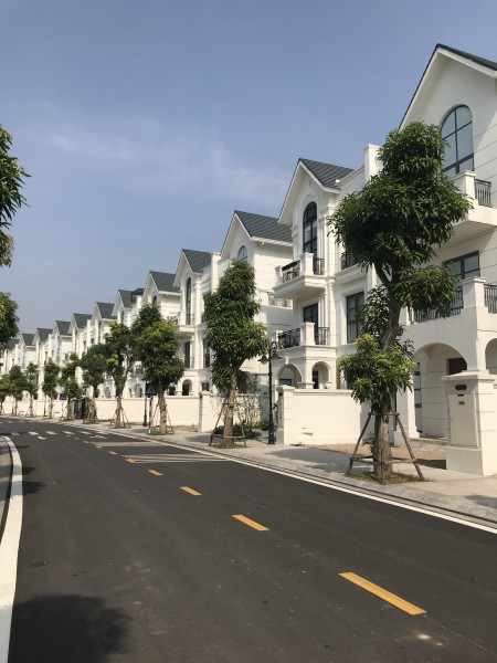 Bán biệt thự cao cấp Vinhomes Ocean Park khu Hải Âu 3, chỉ 15.5 tỷ