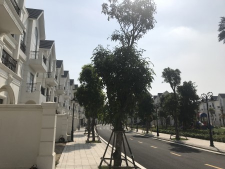 Đi đến slide 7