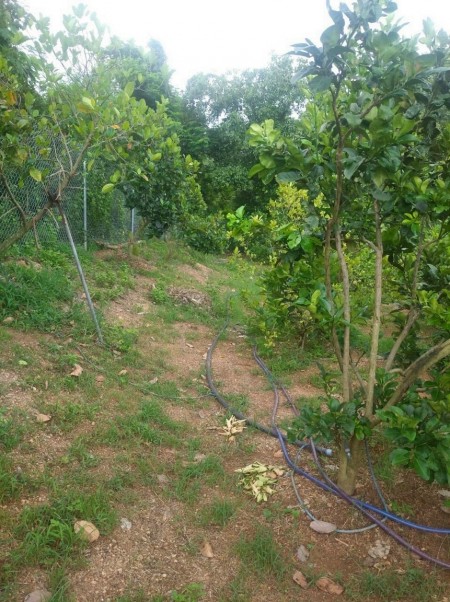 Bán đất Vườn Vĩnh Tân Vĩnh Cửu 1200m2 giá 1tỷ, sổ hồng riêng