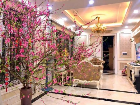 Bán căn biệt thự nhà vườn ở tiểu KĐT Vạn Phúc Hà Đông, thiết kế phong cách tân cổ điển