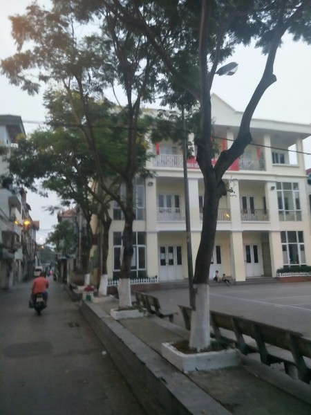 Cần bán gấp nhà Biệt thự 207m, 2T, 16m MT, cạnh nhà Máy Gỗ, Lô góc 3 mặt, Ô tô 7 chỗ.