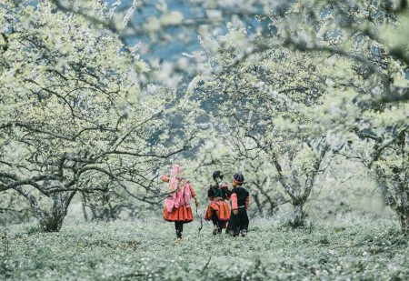 Mảnh đất ở xã Mường Sang, Mộc Châu giá siêu đáng yêu, đất tiềm năng