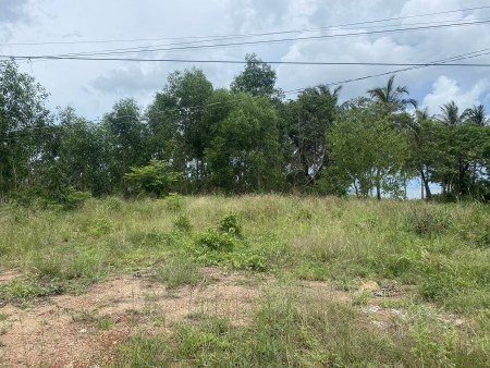 Đi đến slide 8