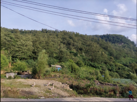 Đi đến slide 2