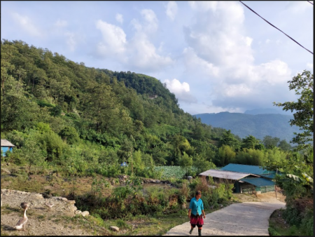 Đi đến slide 3