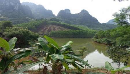 Đi đến slide 2