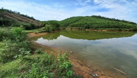 Đi đến slide 5