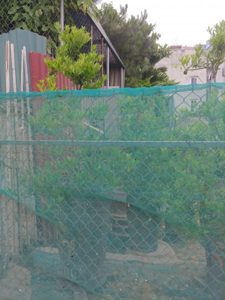 Đất Xuân La, DT 56X6, 9m mt, xây căn hộ dịch vụ, giá bán 3,3 tỷ