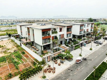 Tôi cần bán lô góc biệt thự nghỉ dưỡng Phương Đông Vân Đồn gần trục Shophouse kinh tế đêm thuận tiện kinh doanh
