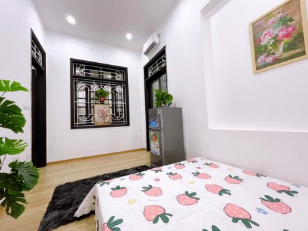 Siêu hiếm CCMN Mỹ Đình ô tô kinh doanh đỉnh 50m2, 5 tầng giá 6.5 tỷ