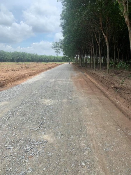 Cần tiền bán gấp lô đất 400m2, sổ riêng ngay thị xã Bến Cát, giá 825 triệu