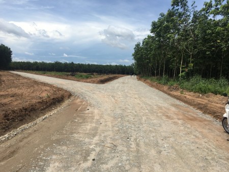 Bán Đất thị xã Bến Cát Bình Dương liền kề 3 KCN giá rẻ, sổ sẵn
