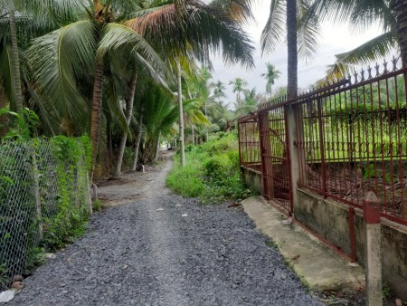 Bán gấp hơn 500m2 đất Nhị Bình 2 SHR mở đường 10m giá tốt