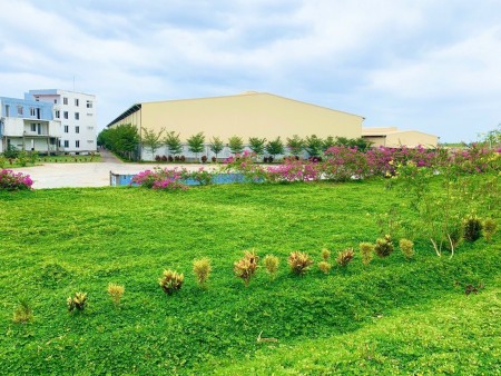 Đi đến slide 10