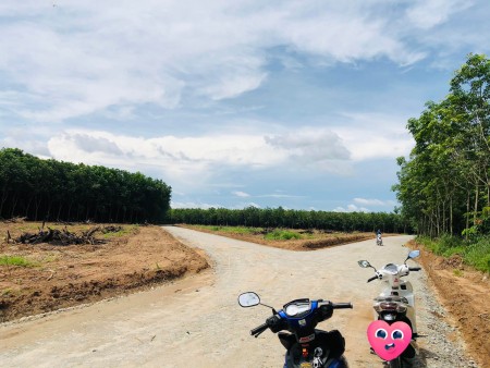 Bán đất nền giá rẻ gần khu công nghiệp Bến Cát Bình Dương sổ sẵn
