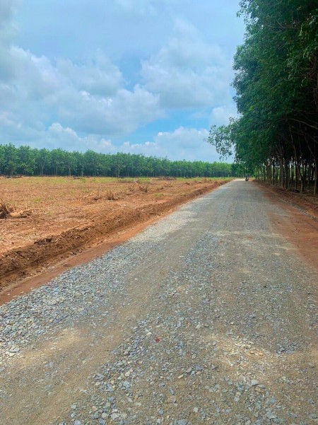 Chính chủ cần bán đất Chánh Phú Hoà, diện tích 330m2, giá chỉ 8xx triệu, sổ sẵn