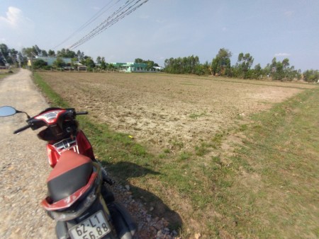 BÁN ĐẤT RUỘNG MẶT TIỀN ĐƯỜNG XE OTo GẦN SÔNG VÀM CỎ