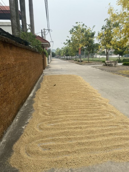 Gia đình cần tiền bán gấp miếng đất đẹp 67.8m2 thôn Thượng Phúc, Bắc Hồng.
