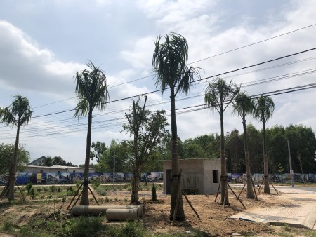 Đi đến slide 4