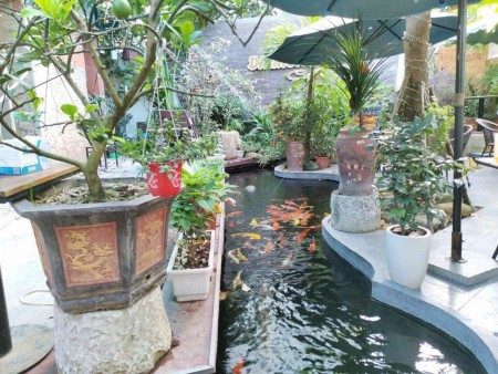Đi đến slide 2