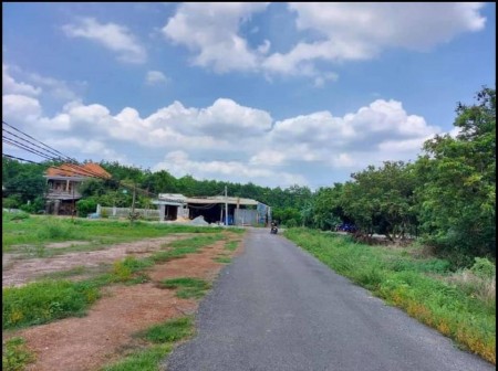 Bán gấp 3560m2 (40x88m) đường ô tô gần Quốc Lộ 12 tiện ích đầy đủ, trong bán kính 2 km, giá 450 triệu