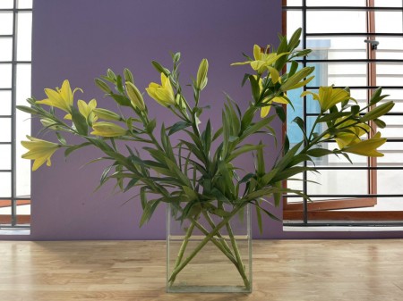 Chính chủ cần cho thuê biệt thự tại KĐT Nam Cường, Dương Nội, Hà Đông, DT 125m2x4.5 tầng Giá 35tr/th