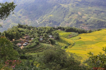 Bán mảnh đất Y Tý đẹp như hoa hậu ( Sapa 2) View ruộng bậc thang và rừng già đẹp xuất sắc