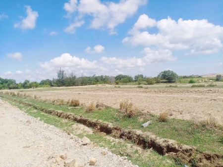 Bán đất Bình Thuận ngay cung đường đẹp Bàu Trắng, dt 2450m2