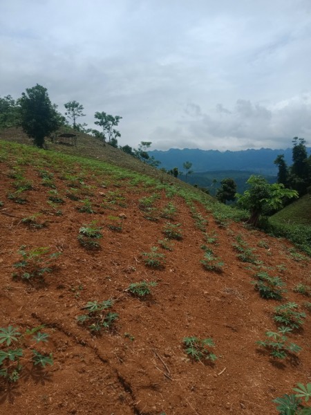 Đi đến slide 5