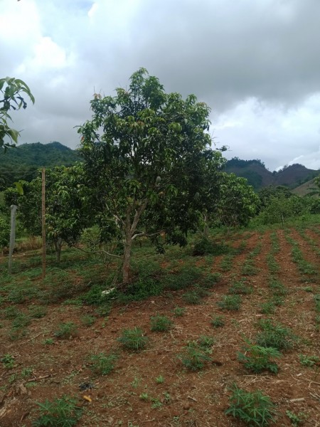 Đi đến slide 6