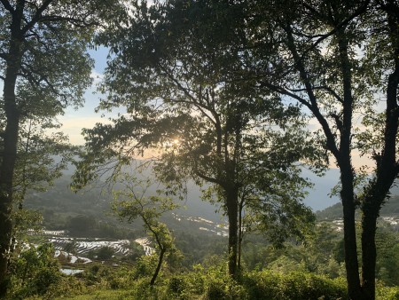Đi đến slide 4
