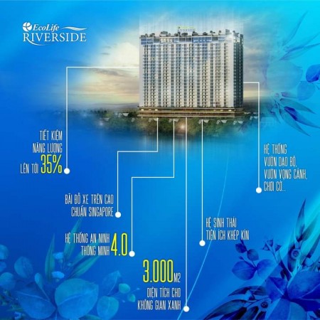 Đi đến slide 8