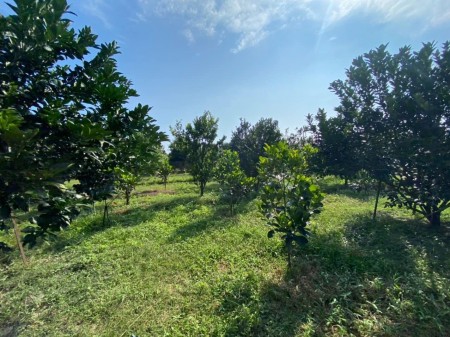 Đi đến slide 11