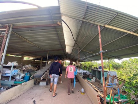 Đi đến slide 9