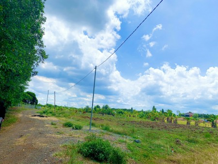 Còn sót vài lô đất Long Tân giá siêu mềm cho nhà đầu tư, sổ hồng riêng