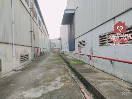 Cho thuê xưởng tại kp 8 Long Bình , Biên Hoà - Đồng Nai