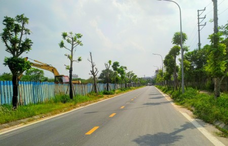 Chính chủ bán gấp đất phân lô Vũ Xuân Thiều 81m2, mt 5m, giá 7.2 tỷ, ô tô tránh, kinh doanh đỉnh