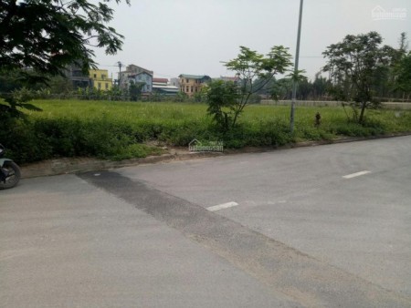 Cho thuê 2000m2 đất làng nghề Kiêu Kỵ, giá cho thuê 30 nghìn/m2/tháng