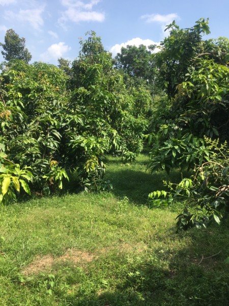 Đi đến slide 2