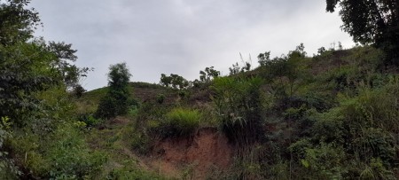 Cần bán nhanh khu đất 1ha Mường Sang, Mộc Châu, Sơn La