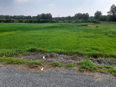 Cần bán lô đất 1383 m2 xã An Phú, Củ Chi, KDC hiện hữu, giá quá rẻ