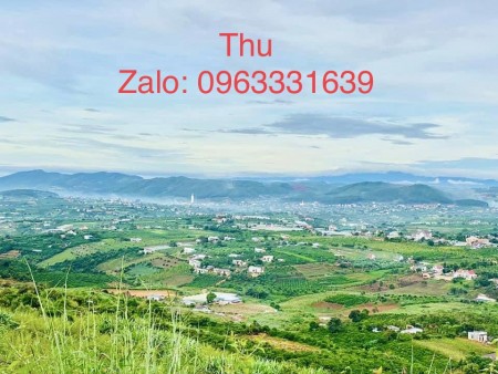 Đất đầu tư diện tích lớn giá sinh lời cao, sang tên công chứng