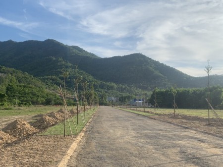 Bân lô biệt thự nhà vườn, ngay trung tâm Tx Phú Mỹ, tiện ích bán kính 1,5km, dt 527m2. đã có sổ