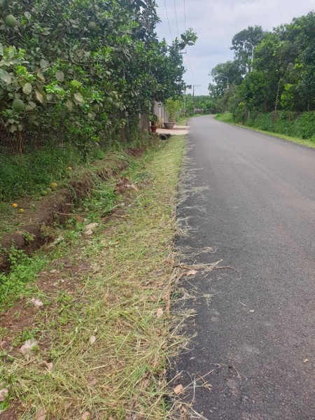 Đi đến slide 5