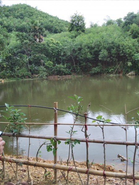 Đi đến slide 3