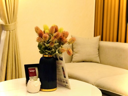 Căn hộ trung tâm tp Thuận An liền kề KCN VSIP 1 , giá rẻ nhất Thuận An Bình Dương.