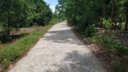 Cần bán 4 lô liên kề tại Vinh Phú - Phú Vang, khu dân cư đông đúc