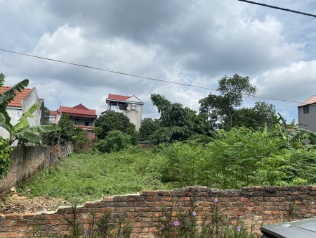Chính chủ bán 540m2 đất thôn Cộng Hòa, xã Phù Linh, đường lớn đi lại thuận tiện