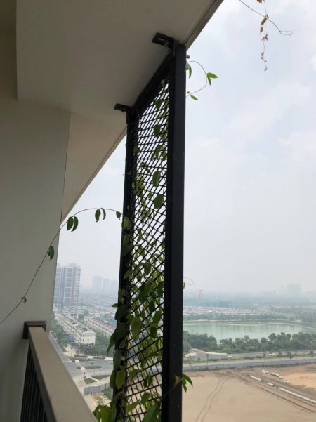 Đi đến slide 12