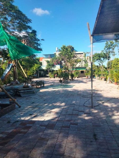 Cho thuê mặt bằng ở chân cầu vượt BigC Hải Phòng